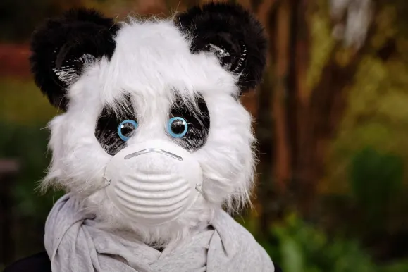 HeySpin Casino Stuðningur